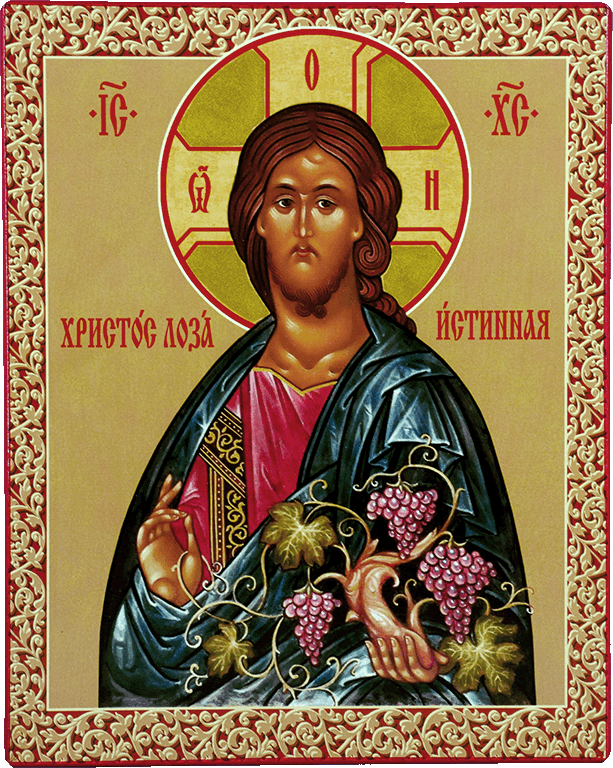 Спас Лоза Истинная